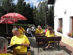 Smigel 2014